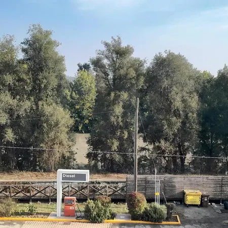 Delponte